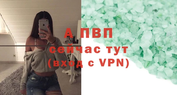 PSILOCYBIN Гусиноозёрск