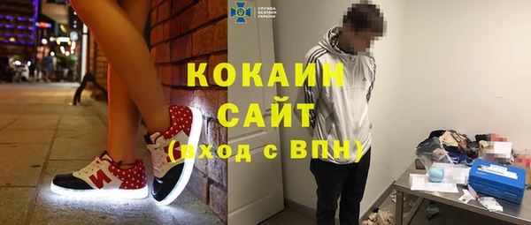 ECSTASY Гусь-Хрустальный