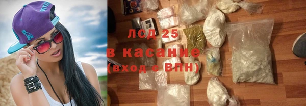 PSILOCYBIN Гусиноозёрск