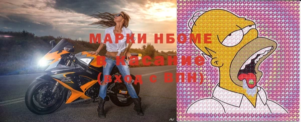 ECSTASY Гусь-Хрустальный
