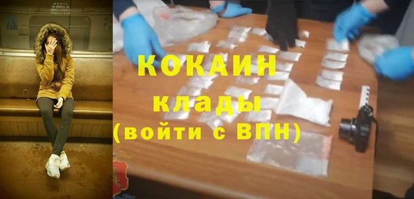 PSILOCYBIN Гусиноозёрск