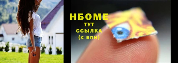 PSILOCYBIN Гусиноозёрск