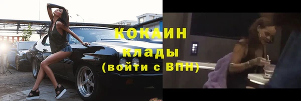 ECSTASY Гусь-Хрустальный