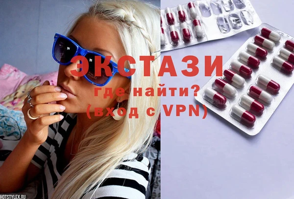 ECSTASY Гусь-Хрустальный