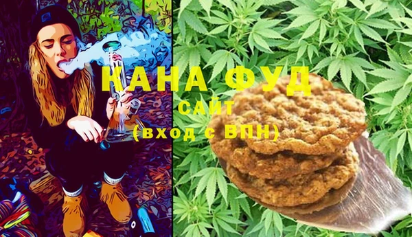 ECSTASY Гусь-Хрустальный