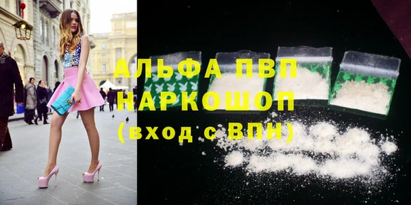 ECSTASY Гусь-Хрустальный