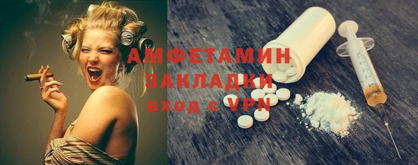 ECSTASY Гусь-Хрустальный